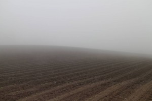 今朝、濃い霧