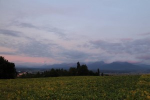 夕方の山