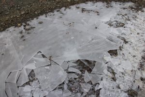 水たまりの氷