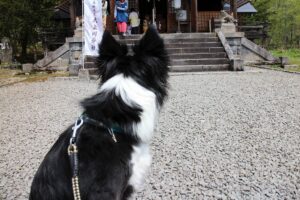 上川神社