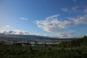 今朝の風景