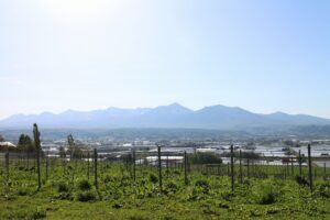 今朝の風景