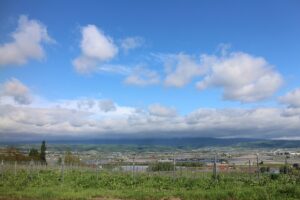 今日の風景