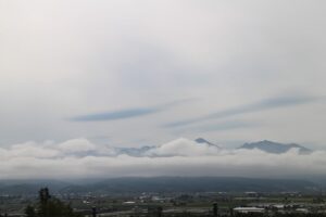 今朝の風景