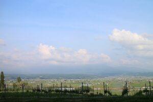 今日の風景