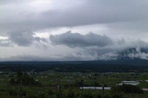 今朝の風景