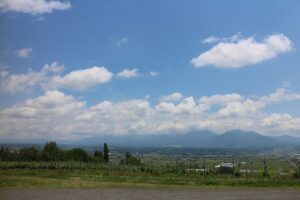 今日の風景