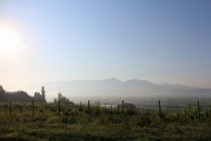 今朝の風景