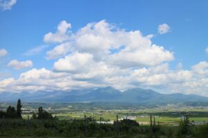 今日の風景