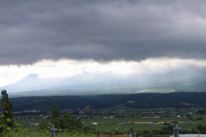 今朝の風景