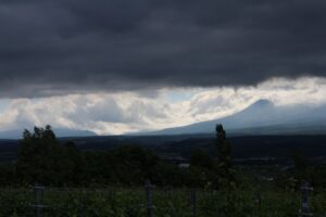 今朝の風景