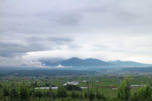 今日の風景