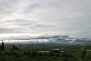 今朝の風景