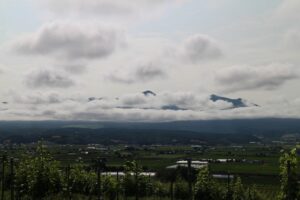 今日の風景