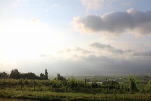 今朝の風景