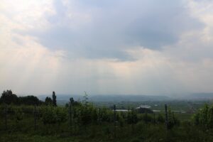 今朝の風景