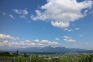 今日の風景