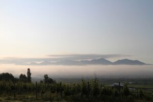 今朝の風景