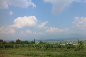 今日の風景