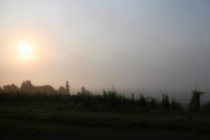 今朝の風景