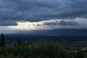 今朝の風景