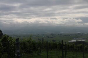 今朝の風景