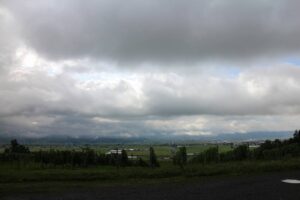 今朝の風景