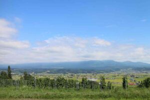 今日の風景