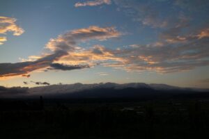 今朝の風景