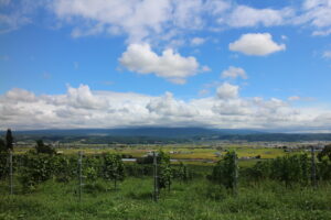 今日の風景