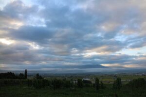 今朝の風景