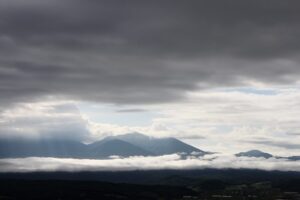 今朝の風景