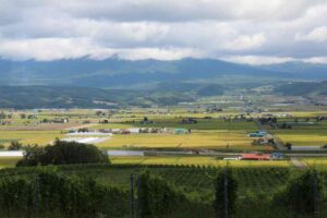 窓からの風景