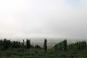 今朝の風景