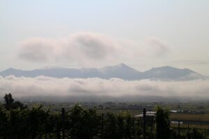 今朝の風景