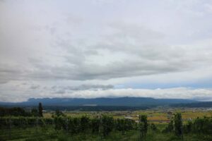 今朝の風景