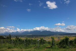 今日の風景