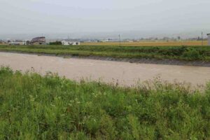 雨の川