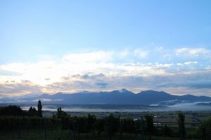 今朝の風景