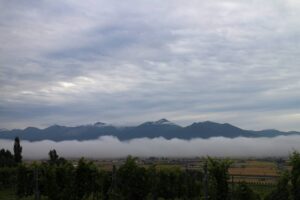 今朝の風景