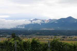 今日の風景