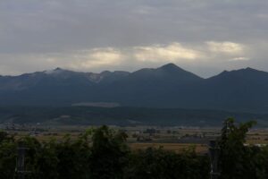 今朝の風景