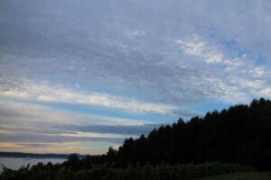 今朝の空