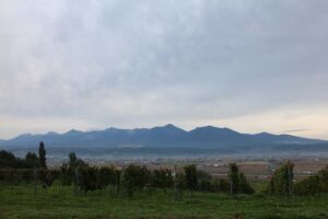 今朝の風景