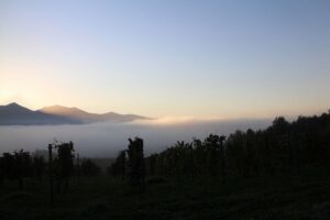 今朝の風景