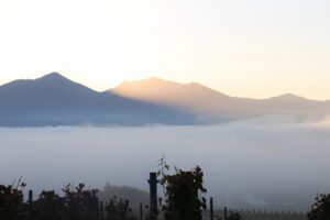 今朝の風景