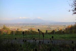 今日の風景