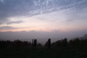 今朝の風景