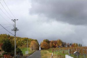 坂からの風景