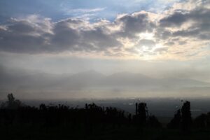 今朝の風景